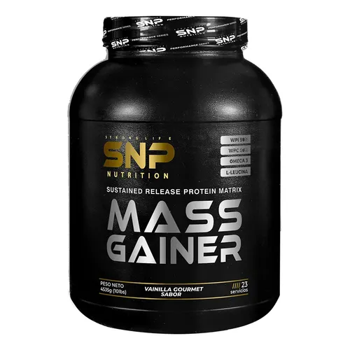 MASS GAINER 6LB
